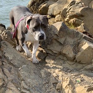 Meet your Posher, Jesse